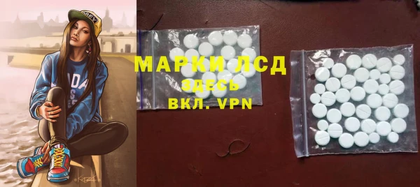 эйфоретик Каменногорск