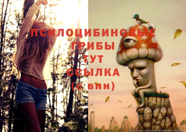 гашиш Каменка