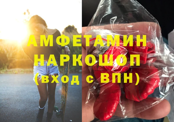 стафф Касимов